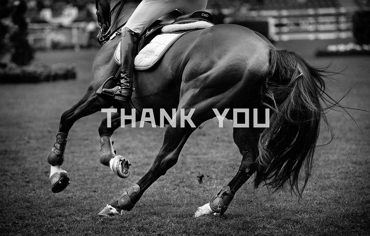 马术俱乐部标志LOGO设计