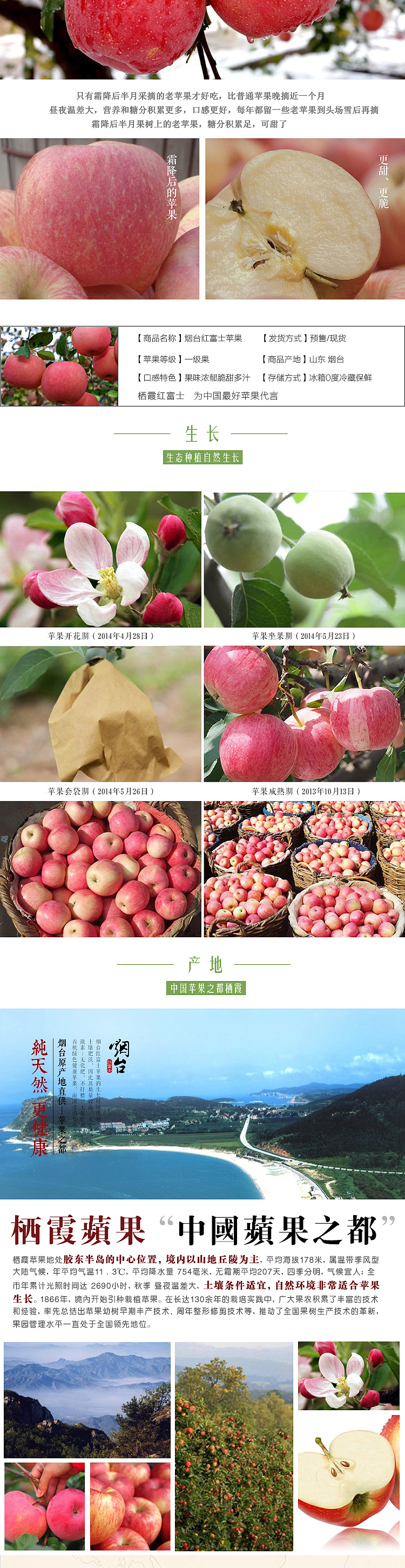 【启凡网络】淘宝栖霞苹果详情页制作 济南网店装修设计