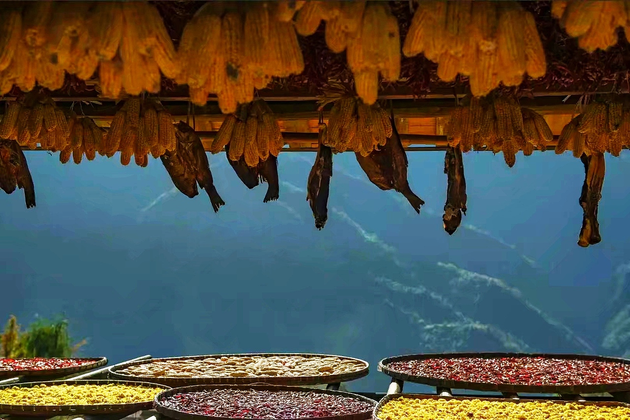 阳光下的食物