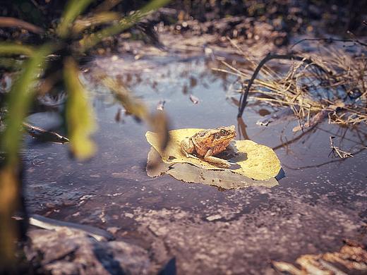 最近的一些练习（个人主页-ZNDUzMjAxMjg=） - 场景 - 站酷设计师小彭XPENG原创素材 - 站酷ZCOOL