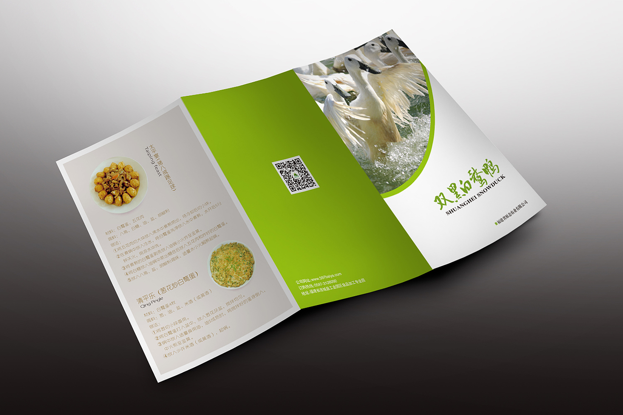 双黑白鹜鸭（蛋）包装宣传（图ZMjY4ODc1MzY=） - 包装 - 站酷设计师Leah工作室原创素材 - 站酷ZCOOL