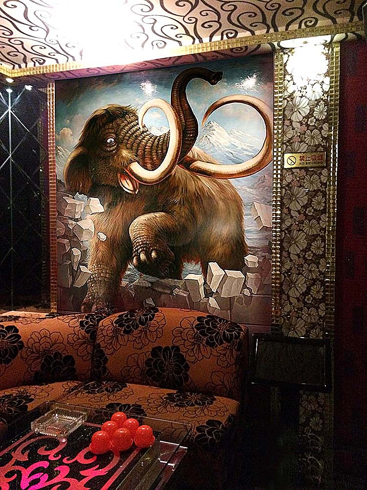 阿伦ktv墙绘3d画