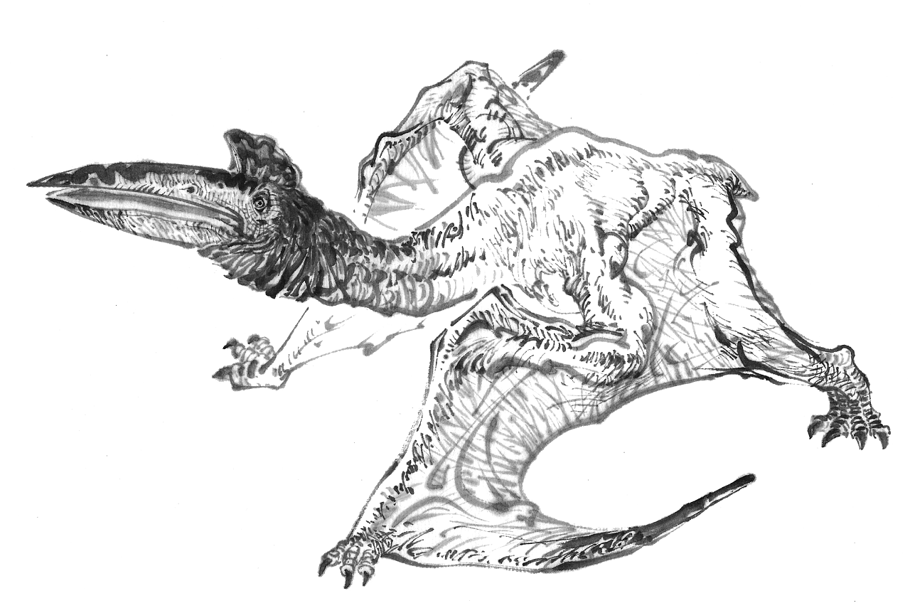 几张水墨古生物练习