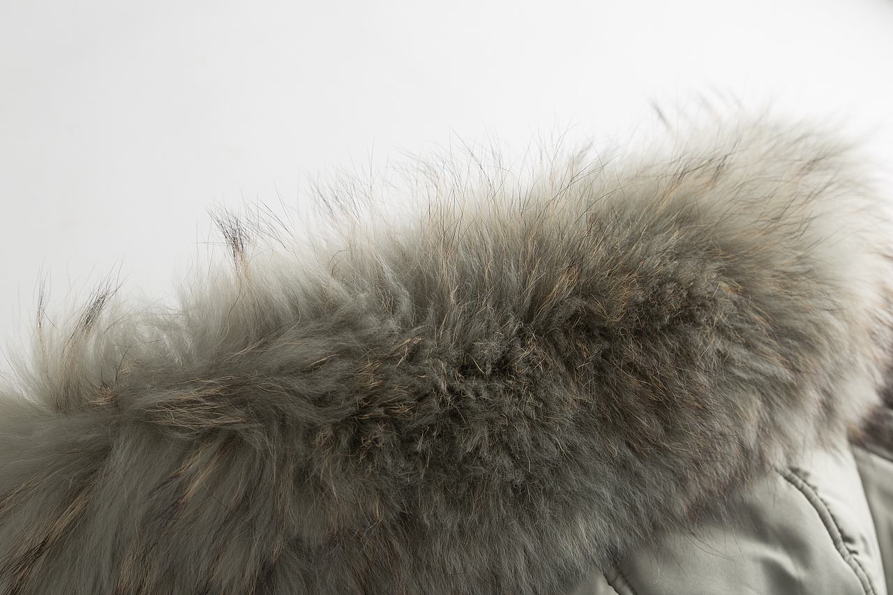 CARIEDO STUDIOS白底3D图