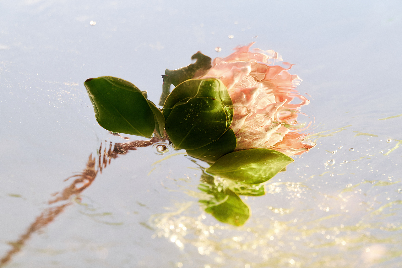 F8 × M.hiti 晨悸复苏,和谐中的自我探寻