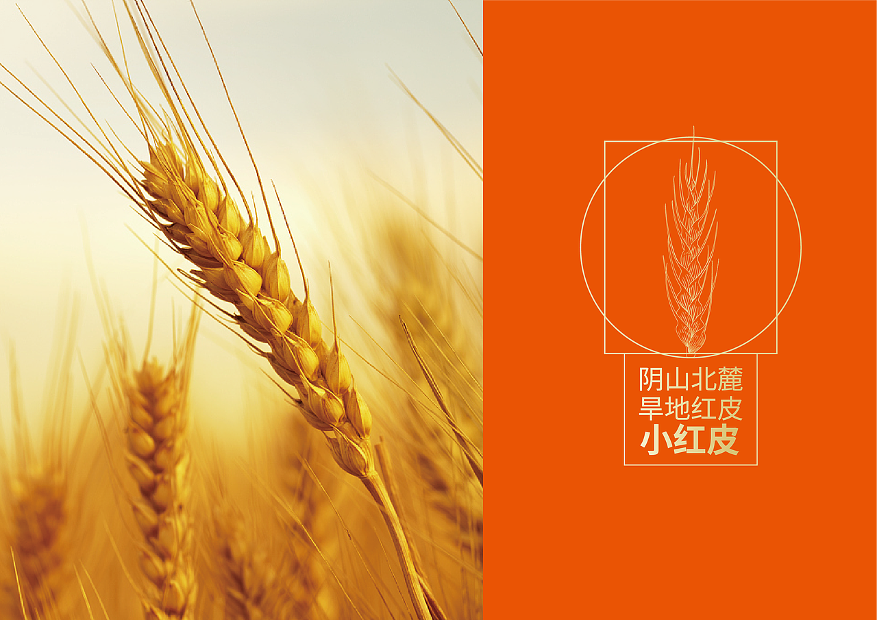 旱地红皮面粉包装设计（图ZMzYyMTU0NjQ4） - 包装 - 站酷设计师元力觉醒战略包装原创素材 - 站酷ZCOOL