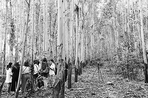 望设计·兰奕2016 The Land of Dream春的女神——少女之心（图ZMzQwOTE5NTI=） - 正装/礼服 - 站酷设计师婚纱设计师兰奕原创素材 - 站酷ZCOOL