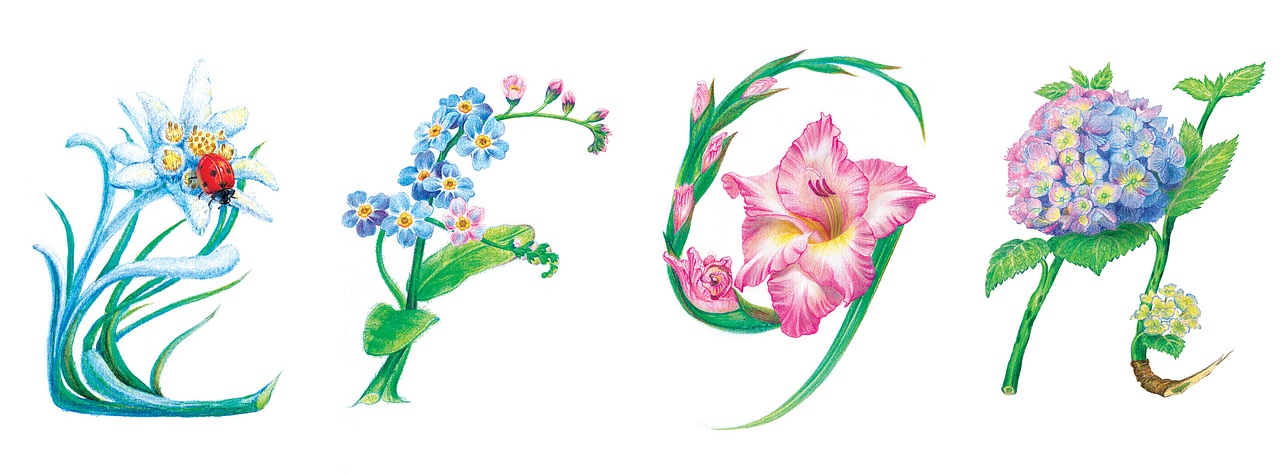 26个字母和花朵设计（图ZMzY4OTcyNTY=） - 商业插画 - 站酷设计师陆薇尔原创素材 - 站酷ZCOOL