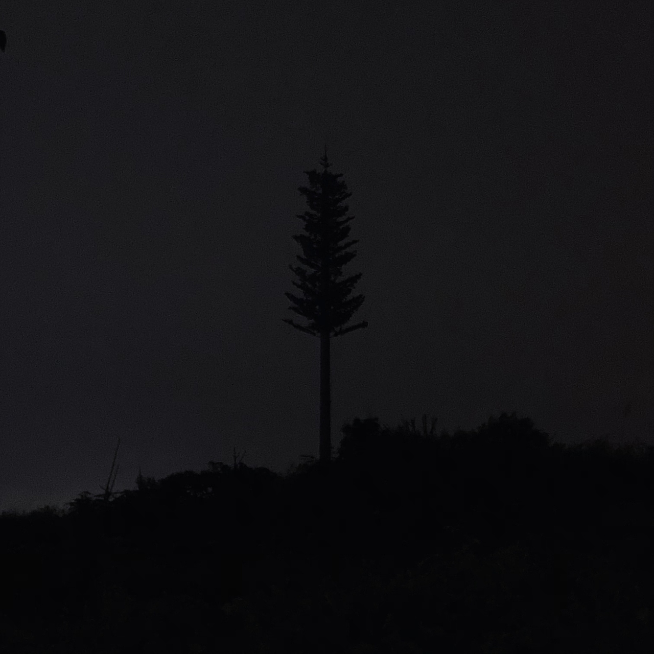 [ Shot on iphone ] 无后期 #1（图ZMzM2NjkyMDcy） - 人文/纪实摄影 - 站酷设计师bowllwod原创素材 - 站酷ZCOOL