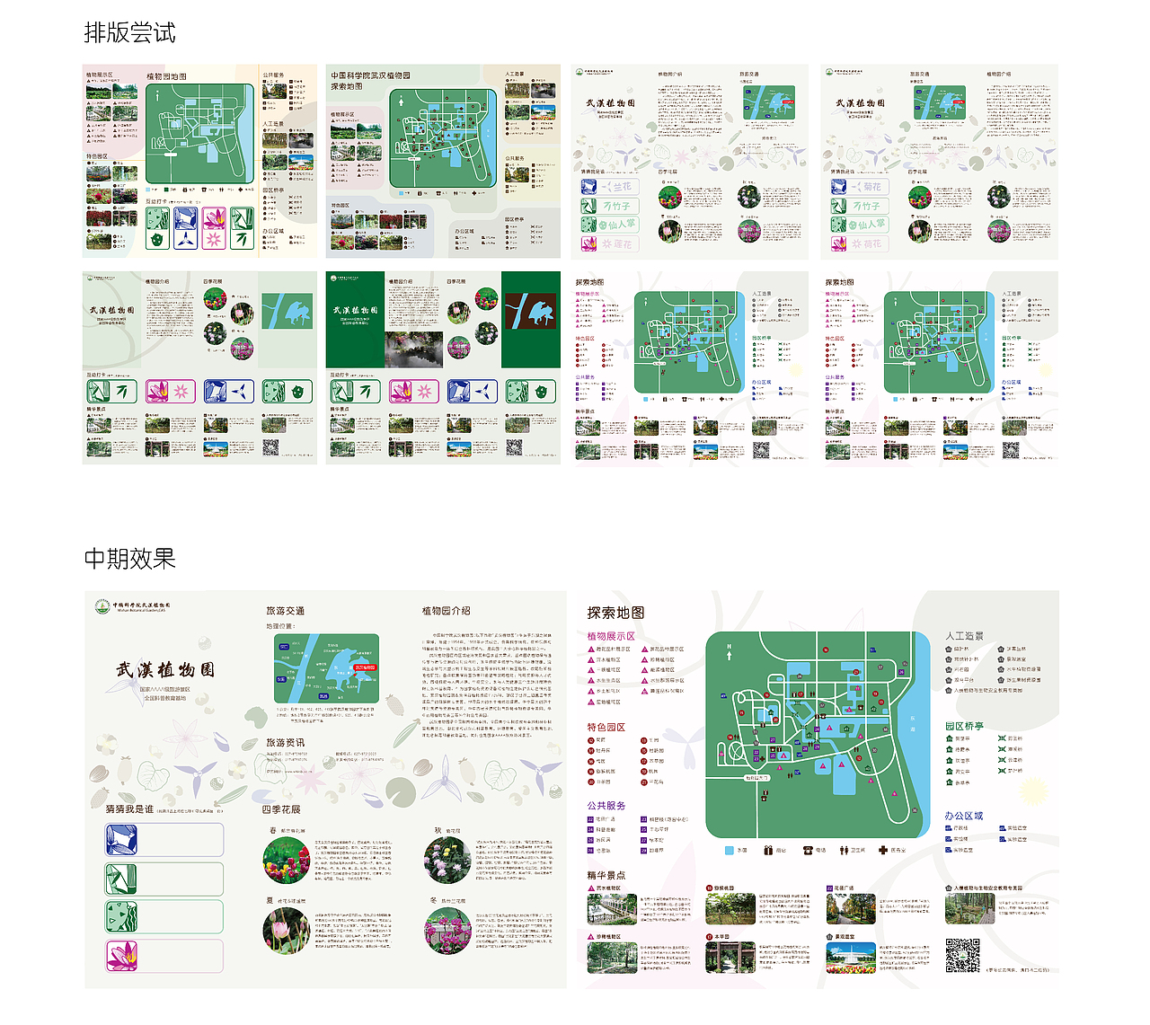 植物园导游手册