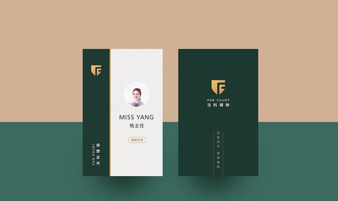 北京法科辅助品牌视觉VI设计