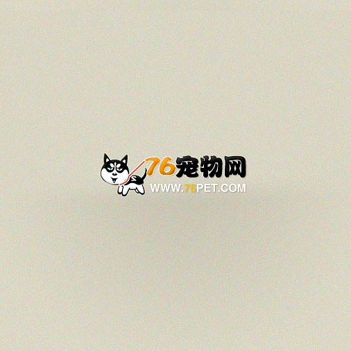 76去遛狗宠物网标志，LOGO设计PSD作品（图ZMTA5OTYwNjg=） - Logo - 站酷设计师wangzhaodi原创素材 - 站酷ZCOOL