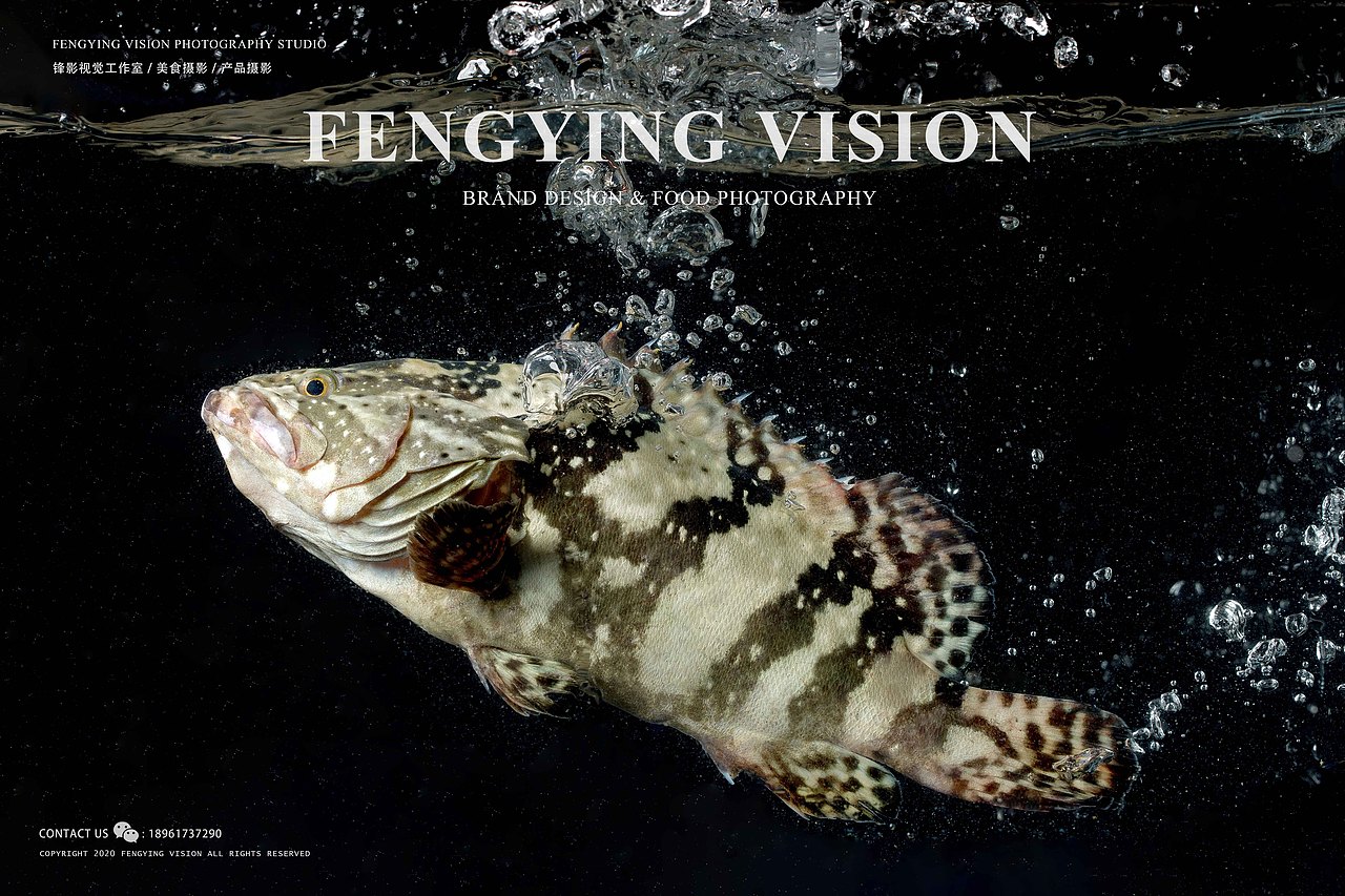 海鲜拍摄（图ZMjM2Mzk2MTU2） - 产品摄影 - 站酷设计师唐大侠_原创素材 - 站酷ZCOOL