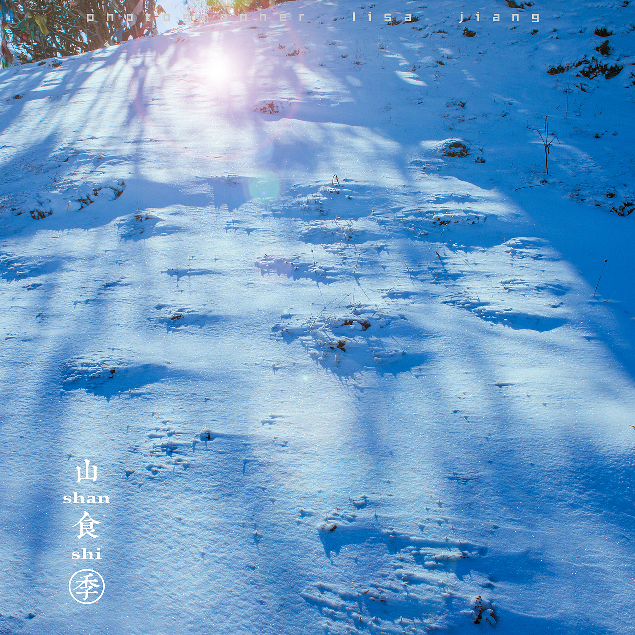 小品四季（图ZMTA4NTgyNTk2） - 产品摄影 - 站酷设计师挲lisa原创素材 - 站酷ZCOOL