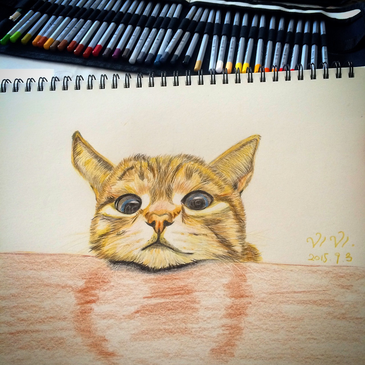 日积月累的彩铅作品