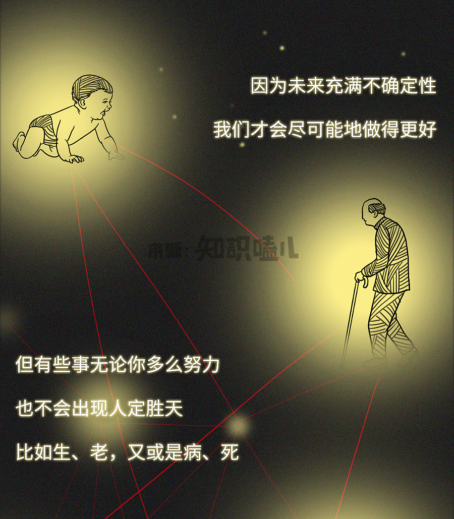 吴花燕死了,众筹也烂了......