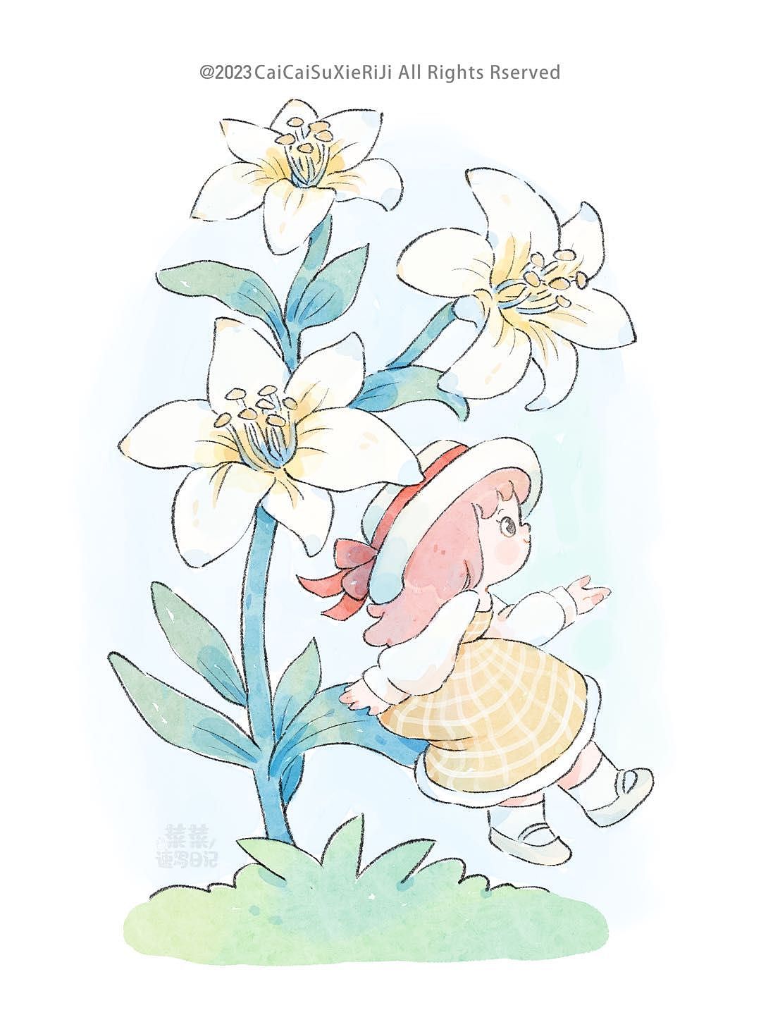 iPad植物小场景合集～（图ZMzMxMTI4OTgw） - 商业插画 - 站酷设计师菜菜速写原创素材 - 站酷ZCOOL
