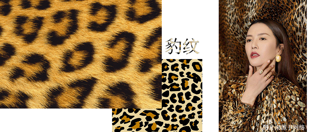 没有找到玳瑁宇螺(纹理和海龟玳瑁相似)的照片.