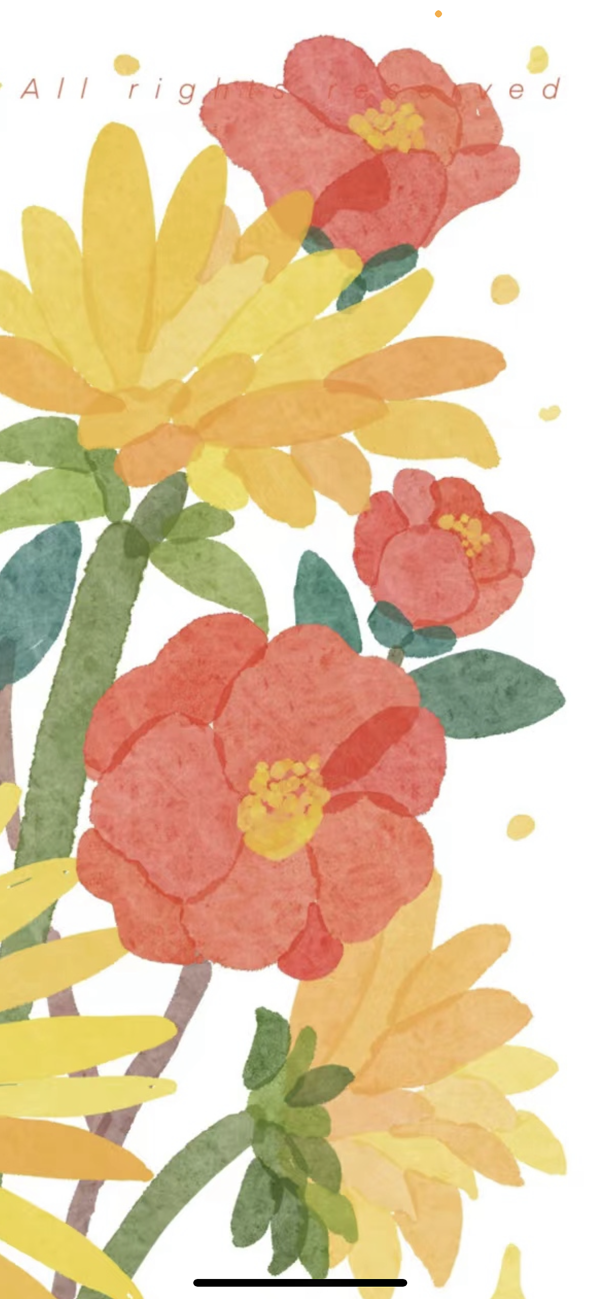 再不来管管,向日葵上就要长猫猫啦!