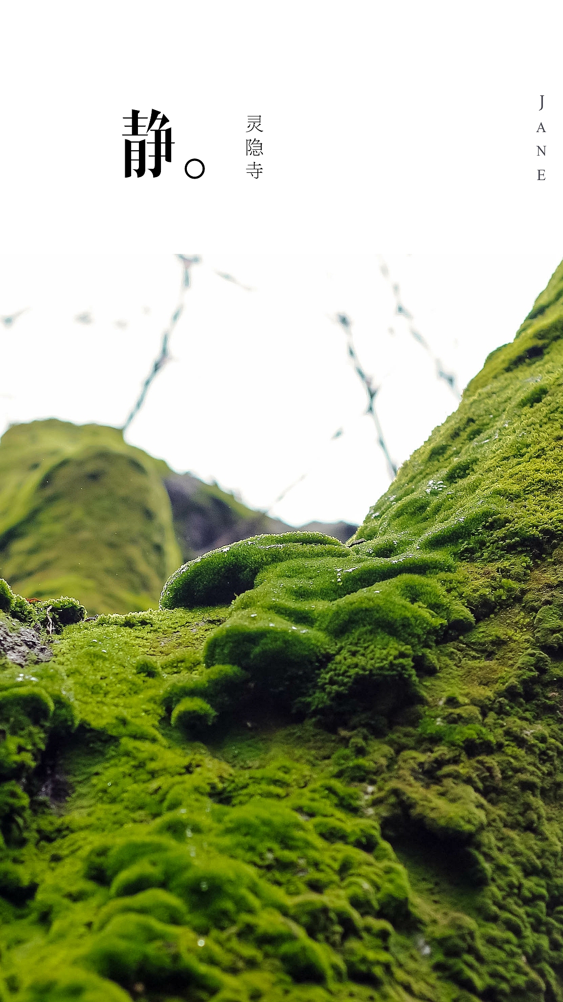 灵隐寺（图ZNDE4ODI2Njg=） - 风光摄影 - 站酷设计师木木家CC原创素材 - 站酷ZCOOL