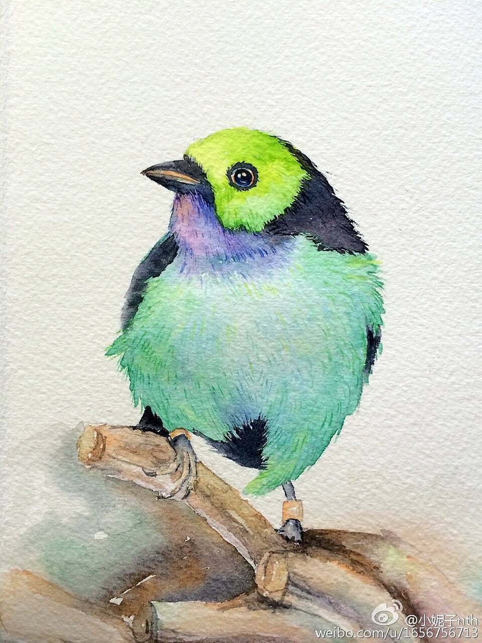 15/100 百鸟图系列一