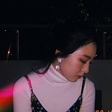 特大号胖兔子的头像