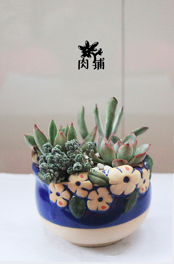 我的多肉盆栽（图ZMjcxMTgwMjQ=） - 其他手工艺 - 站酷设计师okado原创素材 - 站酷ZCOOL