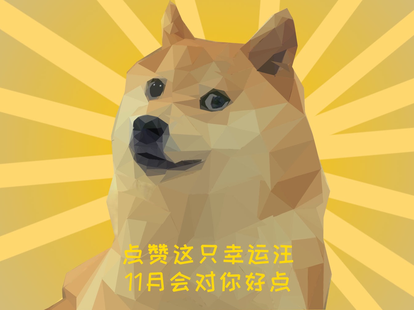Charming Shiba Inu Doge HD Wallpaper