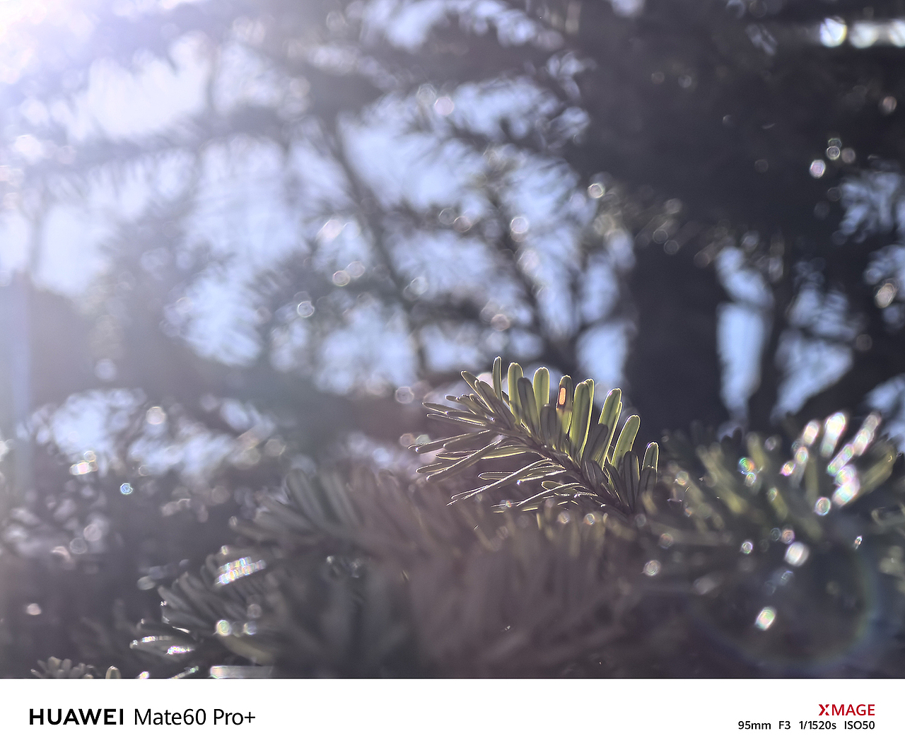 青春没有售价,川西一路拿下,感受着大自然的馈赠