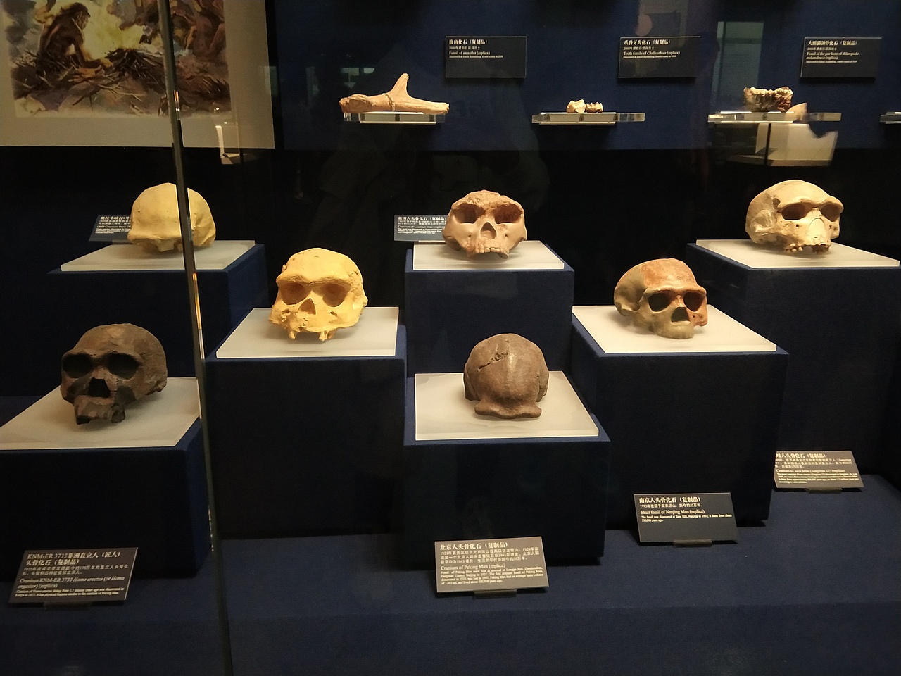 博物馆摄影📸～（图ZMTg2ODcxMDg0） - 人文/纪实摄影 - 站酷设计师N星辰原创素材 - 站酷ZCOOL