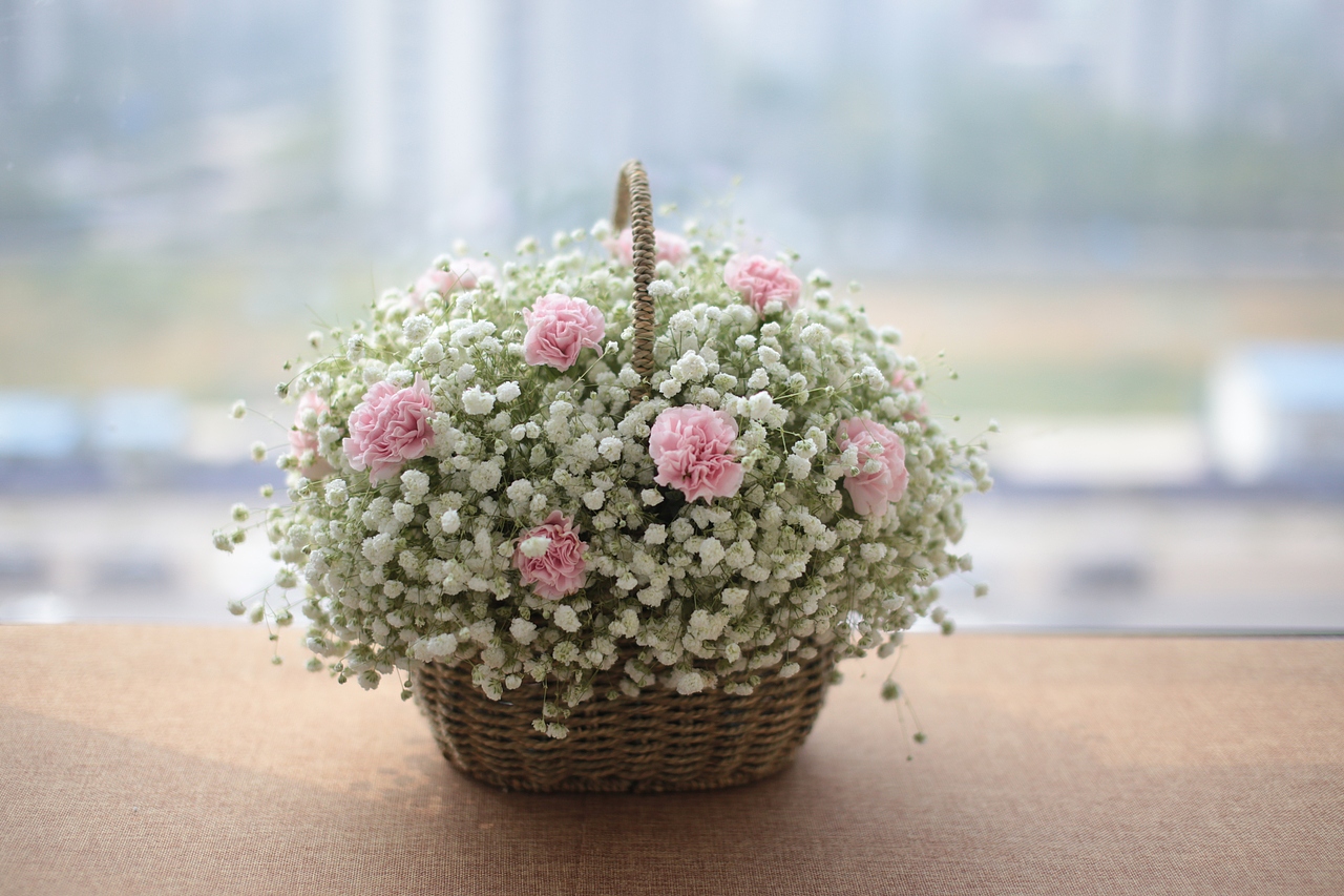 白满天星中插上浅粉康  探望病人看望父母最合适不过  爱与牵挂犹如