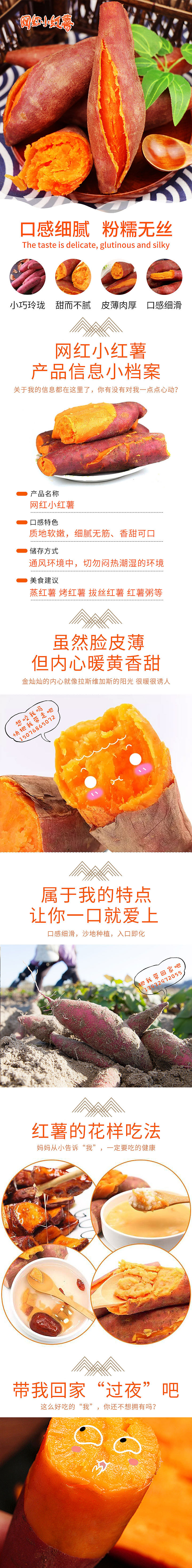 【H5界面】红薯宣传长图与素材（图ZMjI1NzI0MDQ0） - 其他平面 - 站酷设计师颜茹荏苒原创素材 - 站酷ZCOOL