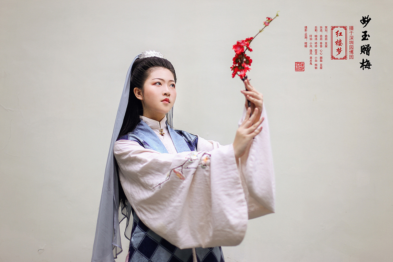 《金陵十二钗》之红楼梦