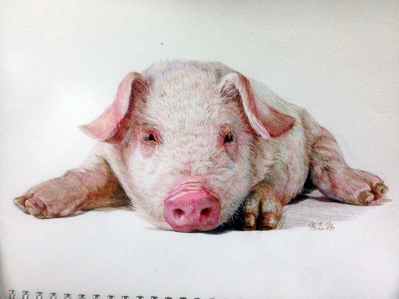 7岁儿童简笔画教程 猪的画法图解教程💛巧艺网