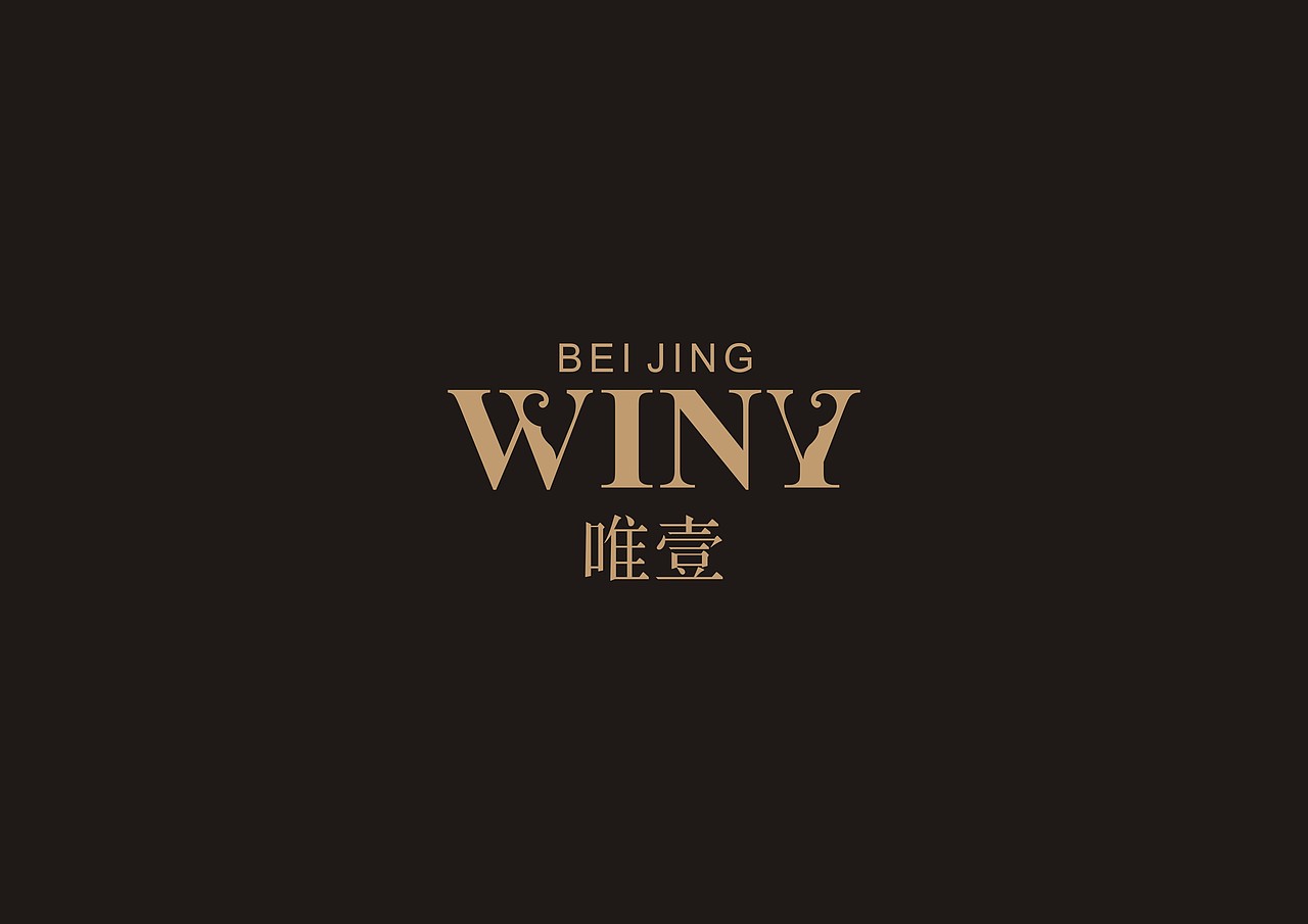 京东\唯一银饰（图ZODYxMDU0NzI=） - Logo - 站酷设计师螃蟹AI创意局原创素材 - 站酷ZCOOL