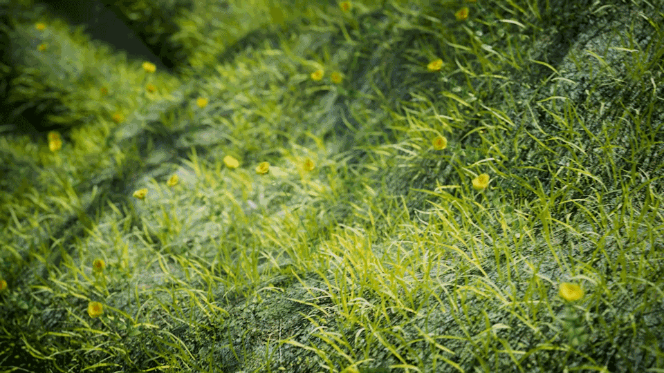 物创-"GROW"