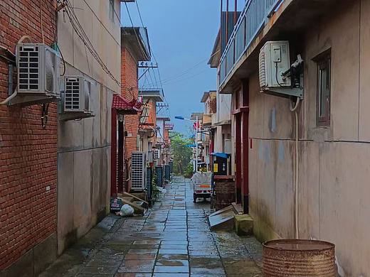 同一条路，一年前后最美不过乡间路～