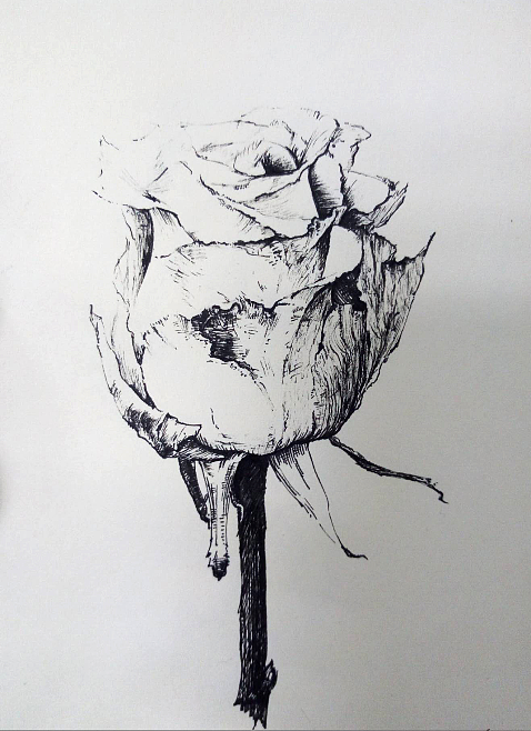 手绘（图ZMTA1ODAzMjUy） - 创作习作 - 站酷设计师还能说不会原创素材 - 站酷ZCOOL