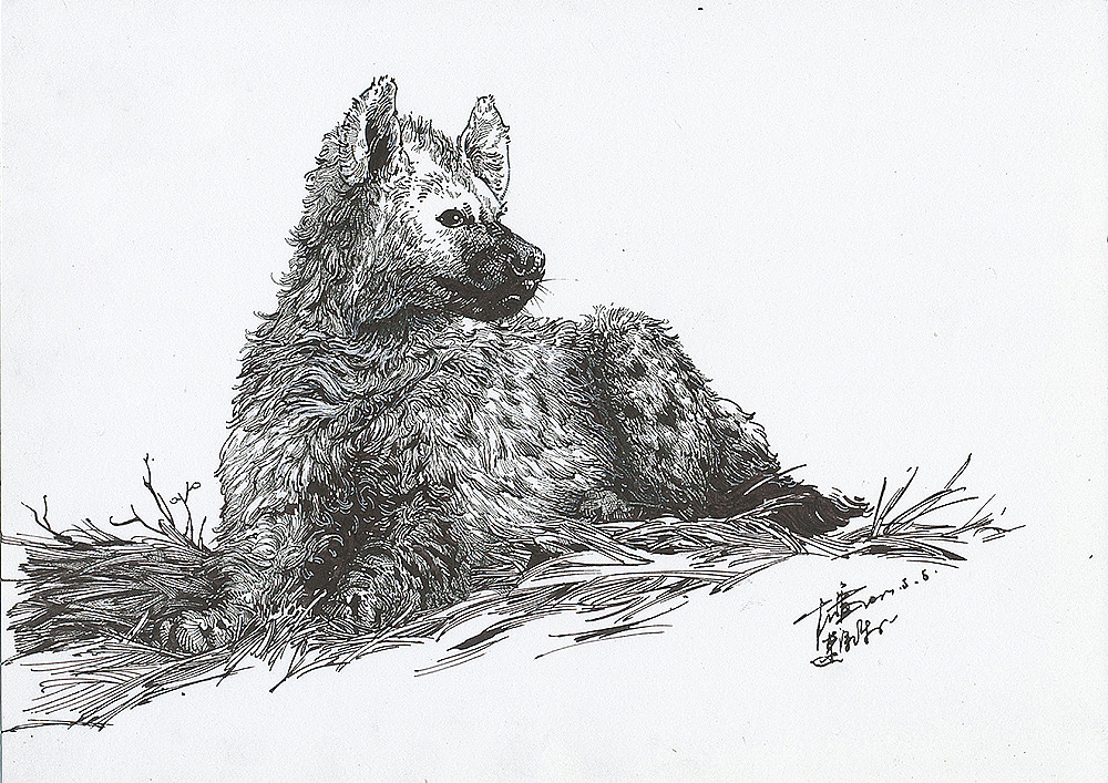 猫猫狗狗马马 ……小集（图ZOTg5NjA0MDA=） - 绘画 - 站酷设计师DX_IDO原创素材 - 站酷ZCOOL