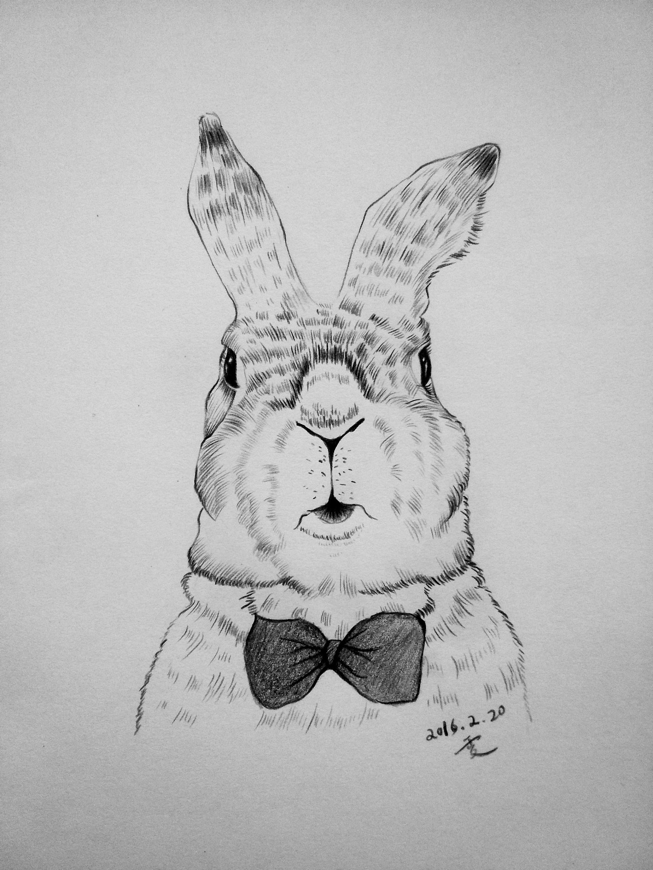 黑色白色情侣兔卡通-吉祥物设计作品|公司-特创易·GO
