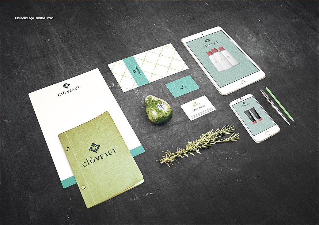 家居和化妆品品牌设计方案（图ZNTQ2ODM5Njg=） - 品牌 - 站酷设计师huqiandesign原创素材 - 站酷ZCOOL