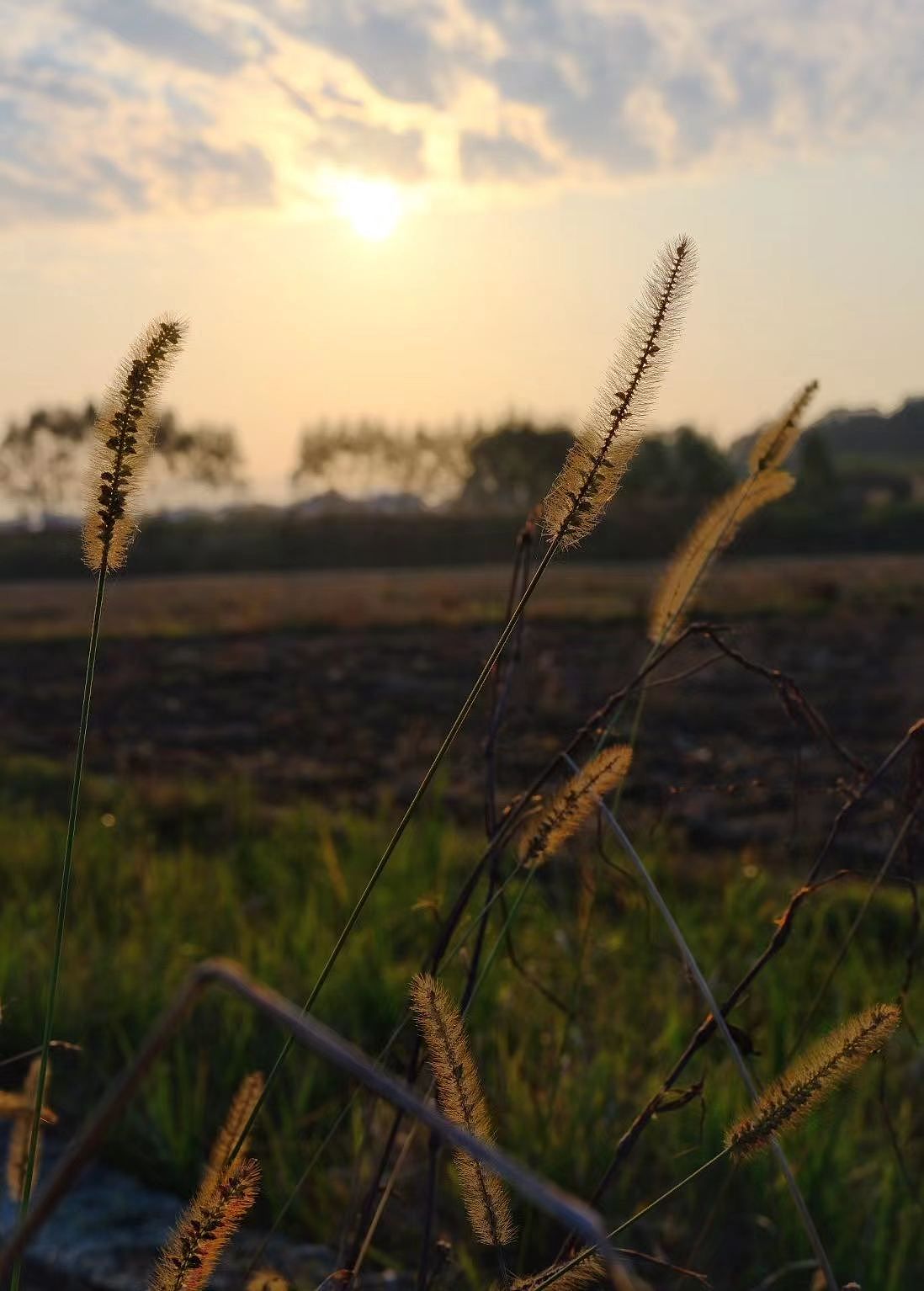 2023年春节乡村的早上2