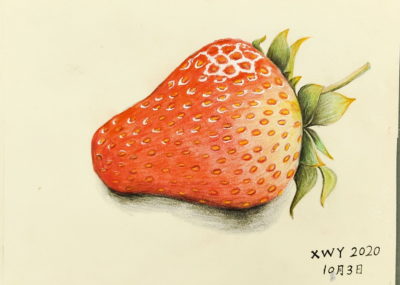 草莓|纯艺术|绘画|画画的蒲公英 - 原创作品 - 站酷 (zcool)