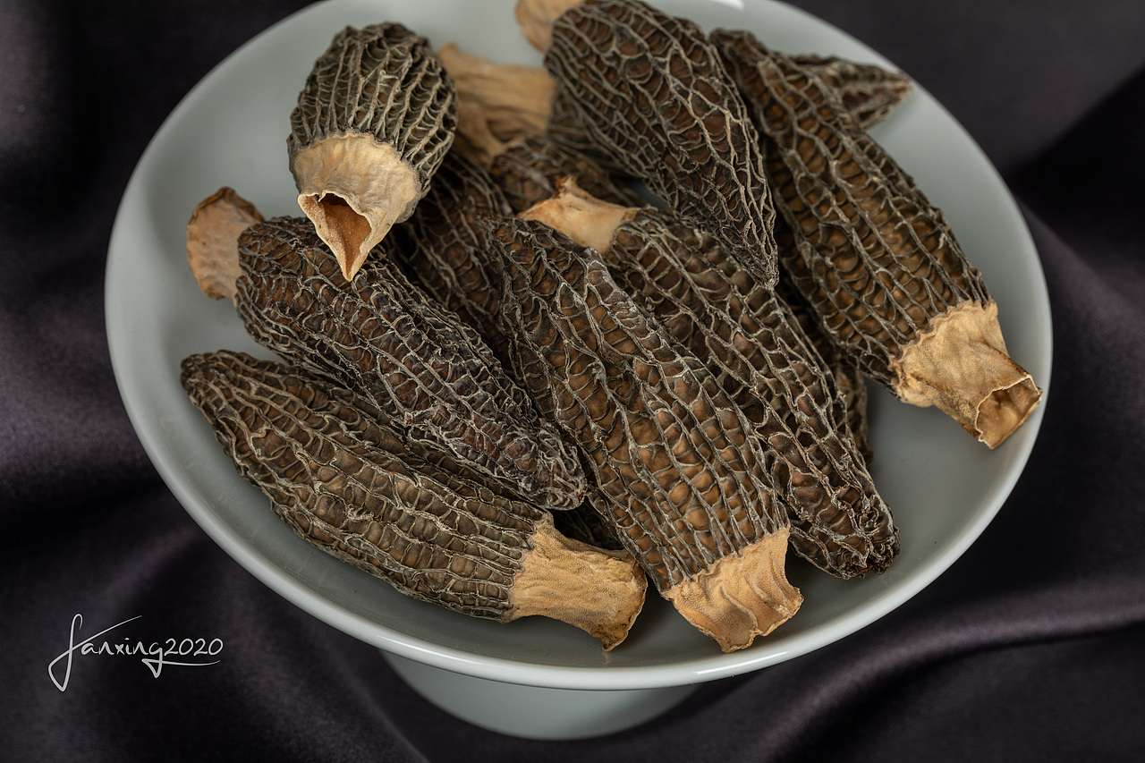 炖鸡特别好吃的羊肚菌（图ZMjM5Mjc5NTI4） - 产品摄影 - 站酷设计师范范范爷原创素材 - 站酷ZCOOL