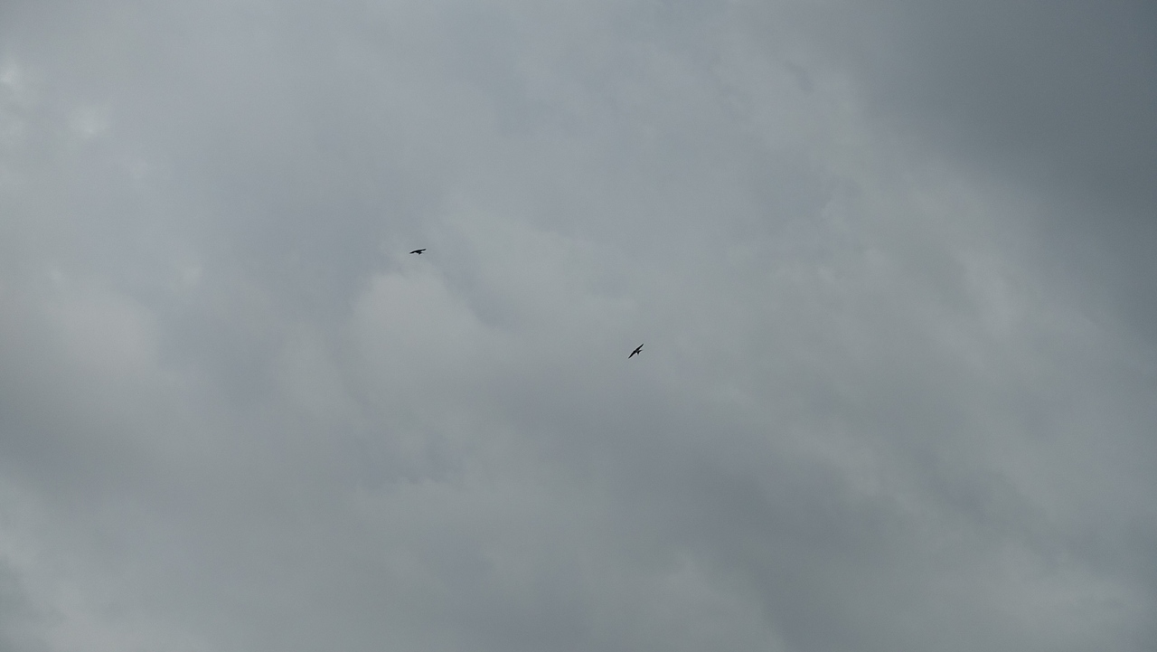 自由（圖ZMjE1OTQ4ODI0） - 風(fēng)光攝影 - 站酷設(shè)計師門泥原創(chuàng)素材 - 站酷ZCOOL