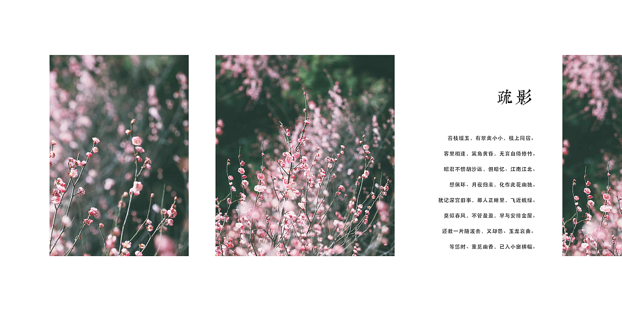 最是那一支梅花最引人