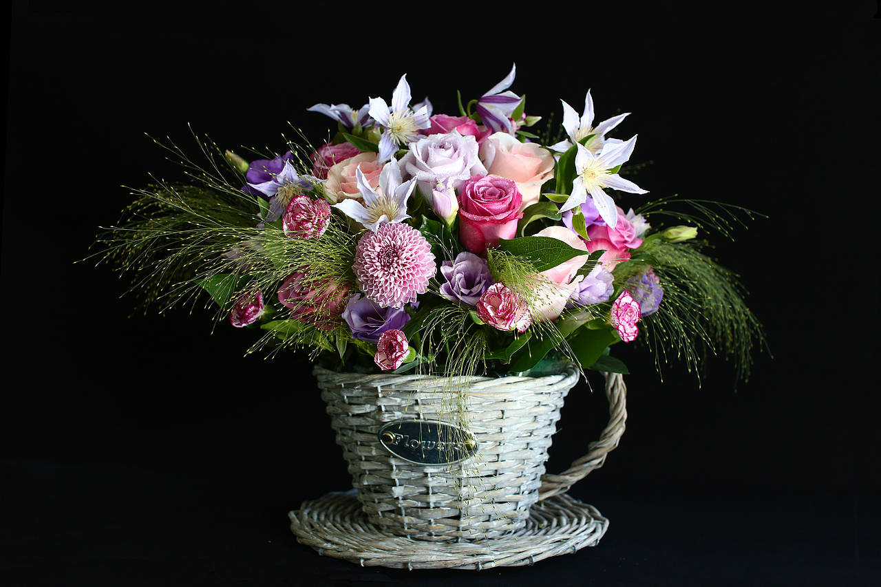 粉佳人  冷美人  紫影  紫龙胆  多头紫康  铁线莲  喷泉草插制
