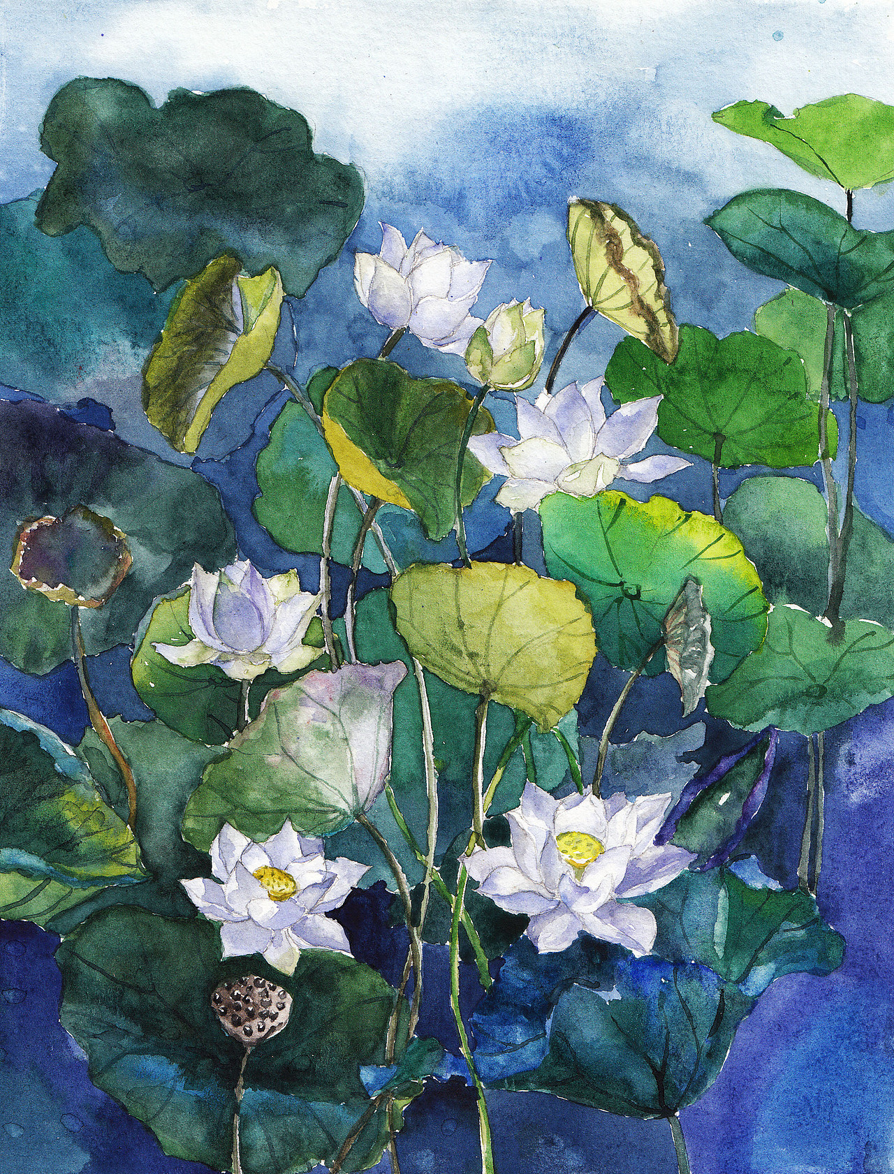 最近的一些手绘