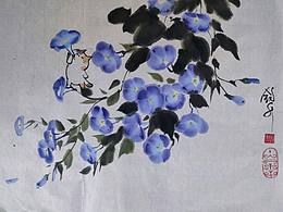 三花花的花花世界