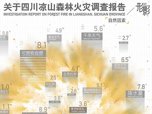 形影--关于四川凉山森林火灾调查报告